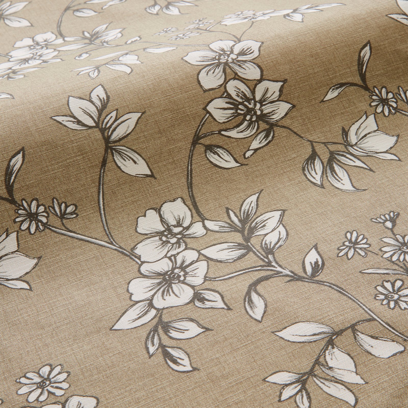Flores Biscuit 1.5m